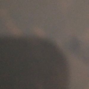 Meet your Posher, Arielle